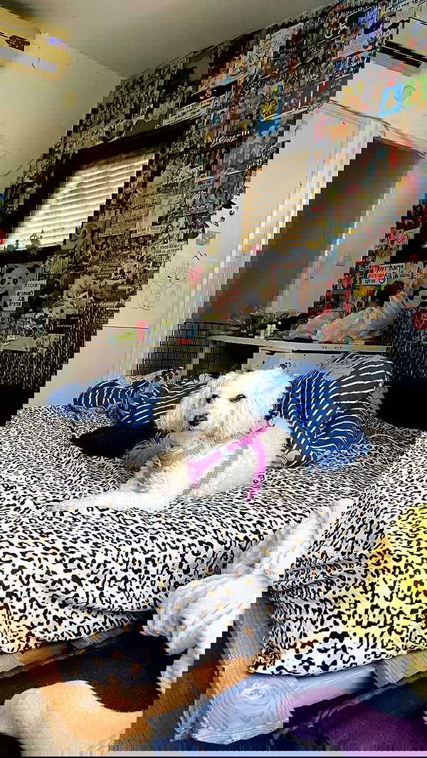 feelbetterinmysweater feelbetterinmysweater archive image