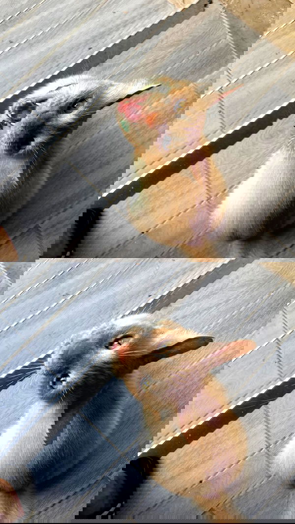 feelbetterinmysweater feelbetterinmysweater archive image