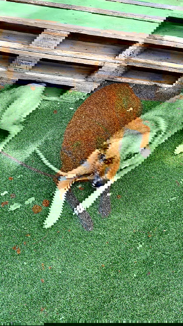 feelbetterinmysweater feelbetterinmysweater archive image