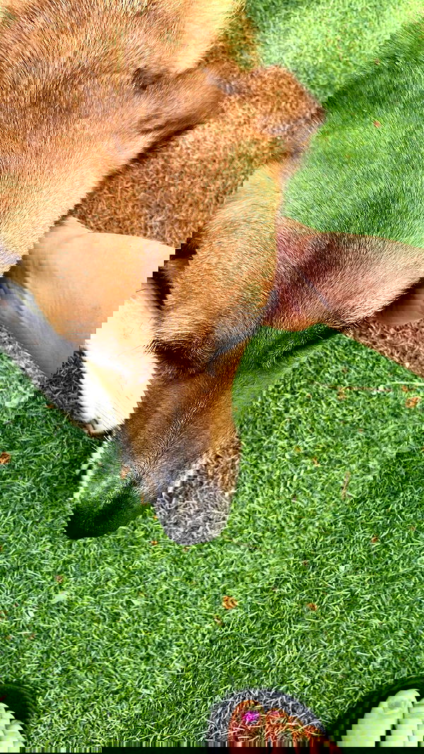 feelbetterinmysweater feelbetterinmysweater archive image