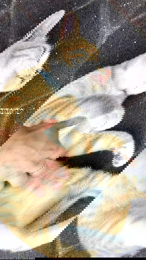 feelbetterinmysweater feelbetterinmysweater archive image