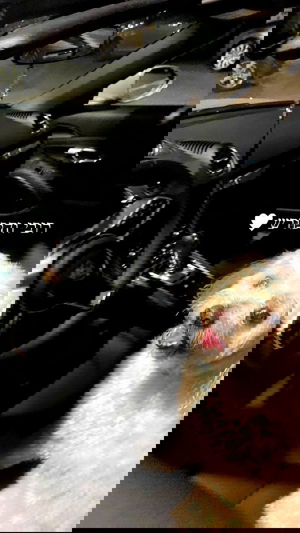 feelbetterinmysweater feelbetterinmysweater archive image