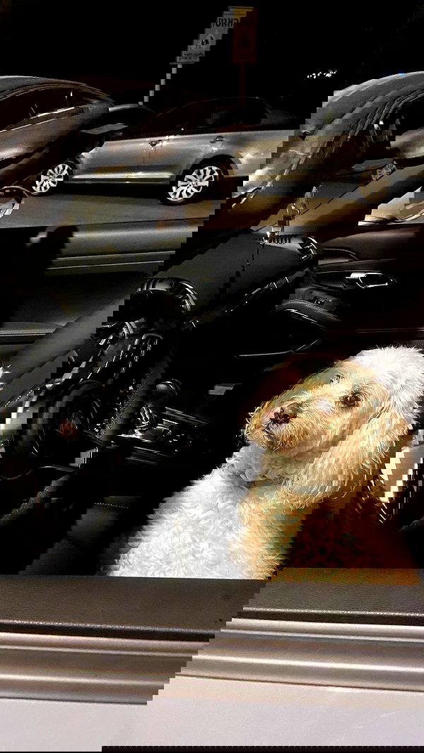 feelbetterinmysweater feelbetterinmysweater archive image