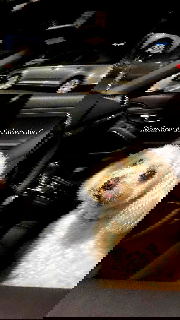 feelbetterinmysweater feelbetterinmysweater archive image