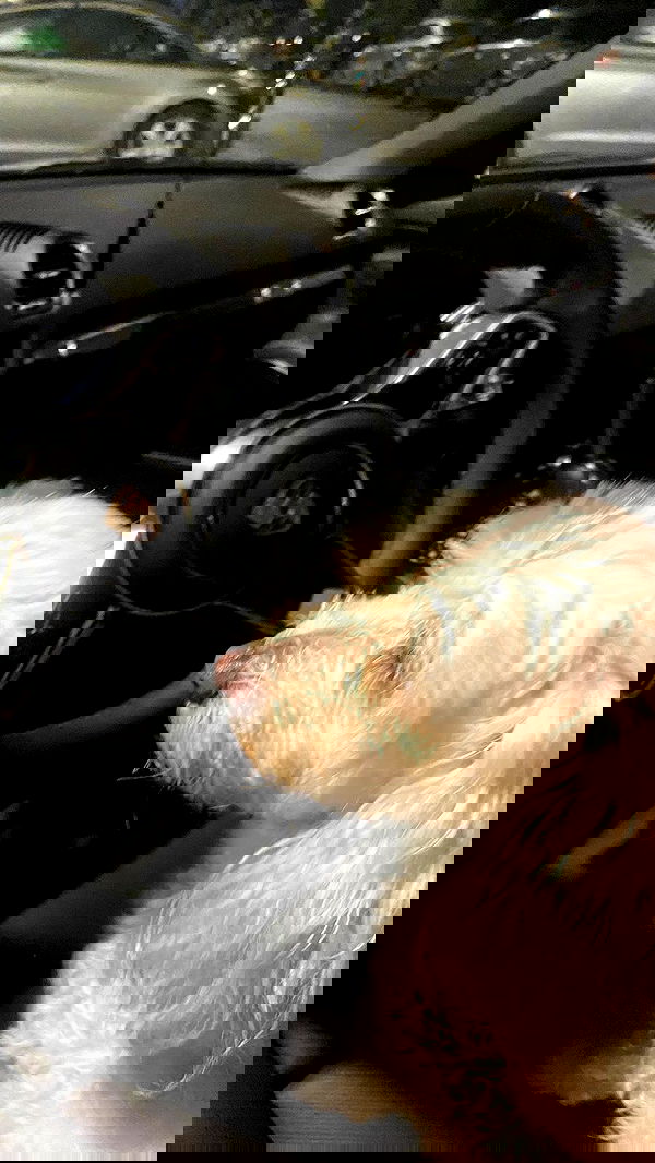 feelbetterinmysweater feelbetterinmysweater archive image