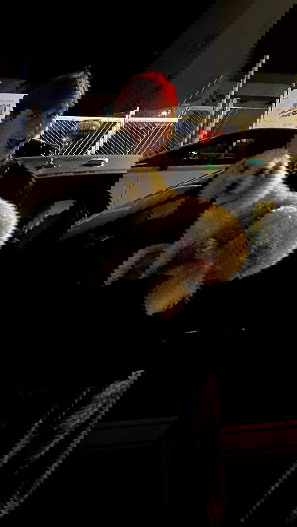 feelbetterinmysweater feelbetterinmysweater archive image