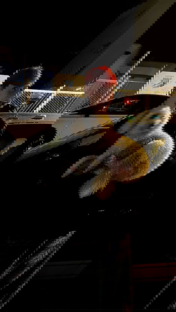 feelbetterinmysweater feelbetterinmysweater archive image