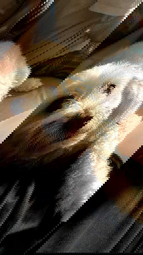 feelbetterinmysweater feelbetterinmysweater archive image