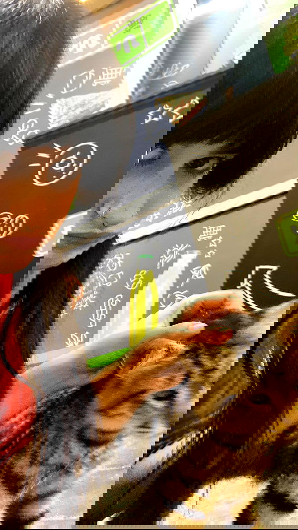 feelbetterinmysweater feelbetterinmysweater archive image