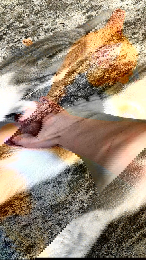 feelbetterinmysweater feelbetterinmysweater archive image