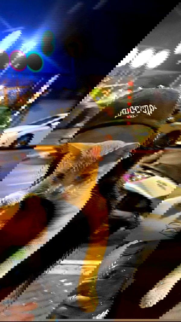 feelbetterinmysweater feelbetterinmysweater archive image