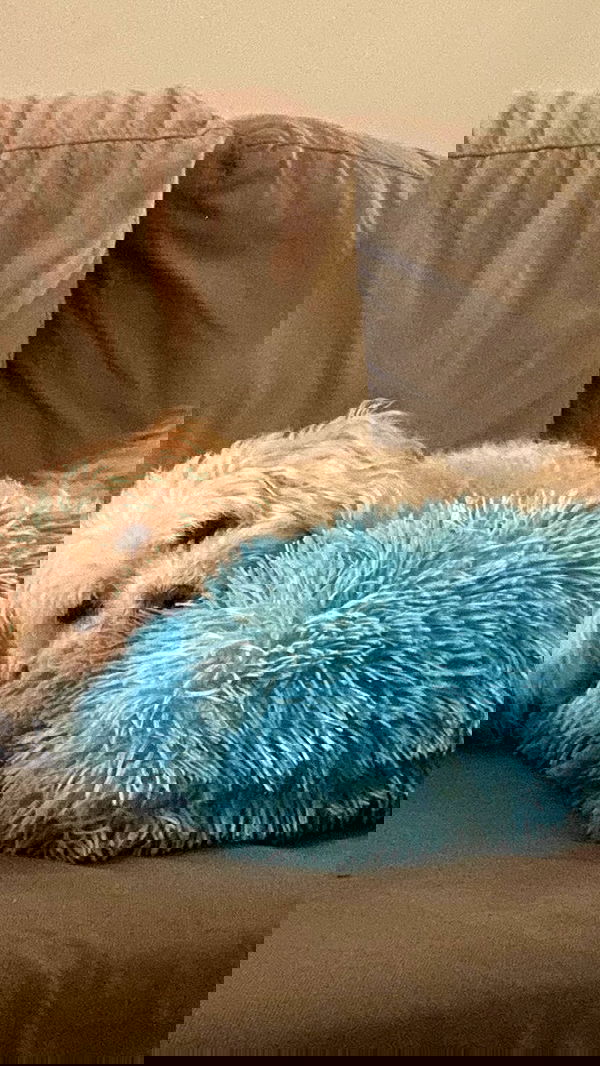 feelbetterinmysweater feelbetterinmysweater archive image