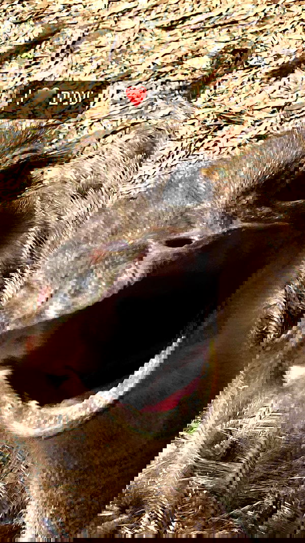 feelbetterinmysweater feelbetterinmysweater archive image