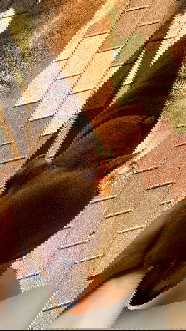 feelbetterinmysweater feelbetterinmysweater archive image