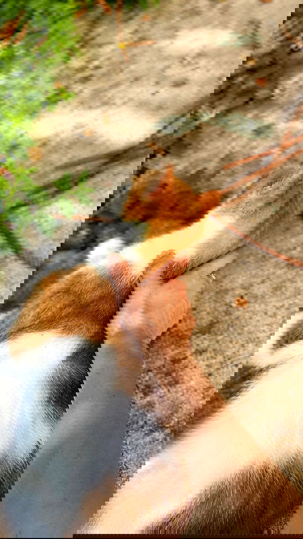 feelbetterinmysweater feelbetterinmysweater archive image