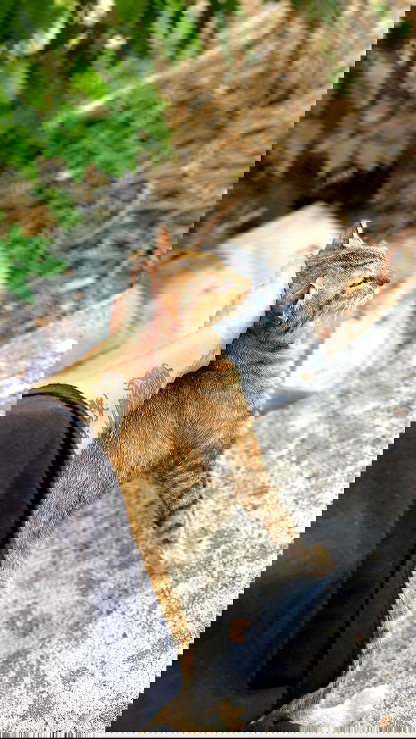 feelbetterinmysweater feelbetterinmysweater archive image