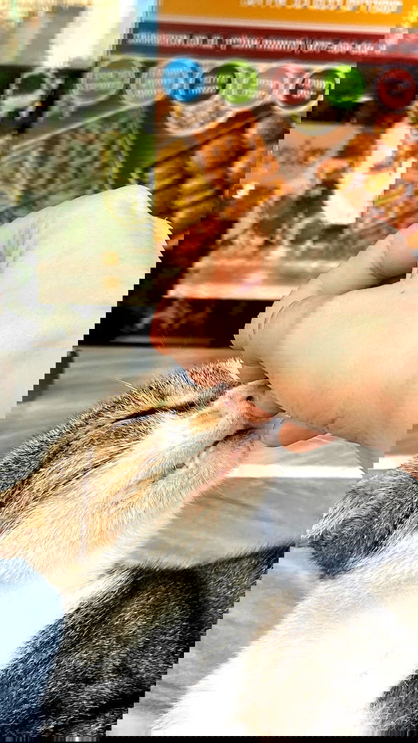 feelbetterinmysweater feelbetterinmysweater archive image