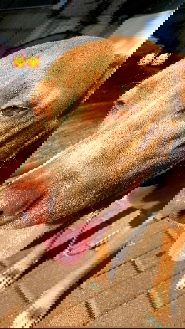 feelbetterinmysweater feelbetterinmysweater archive image