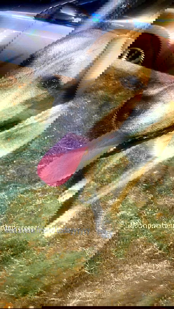 feelbetterinmysweater feelbetterinmysweater archive image