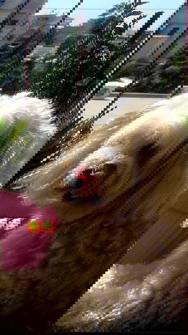 feelbetterinmysweater feelbetterinmysweater archive image