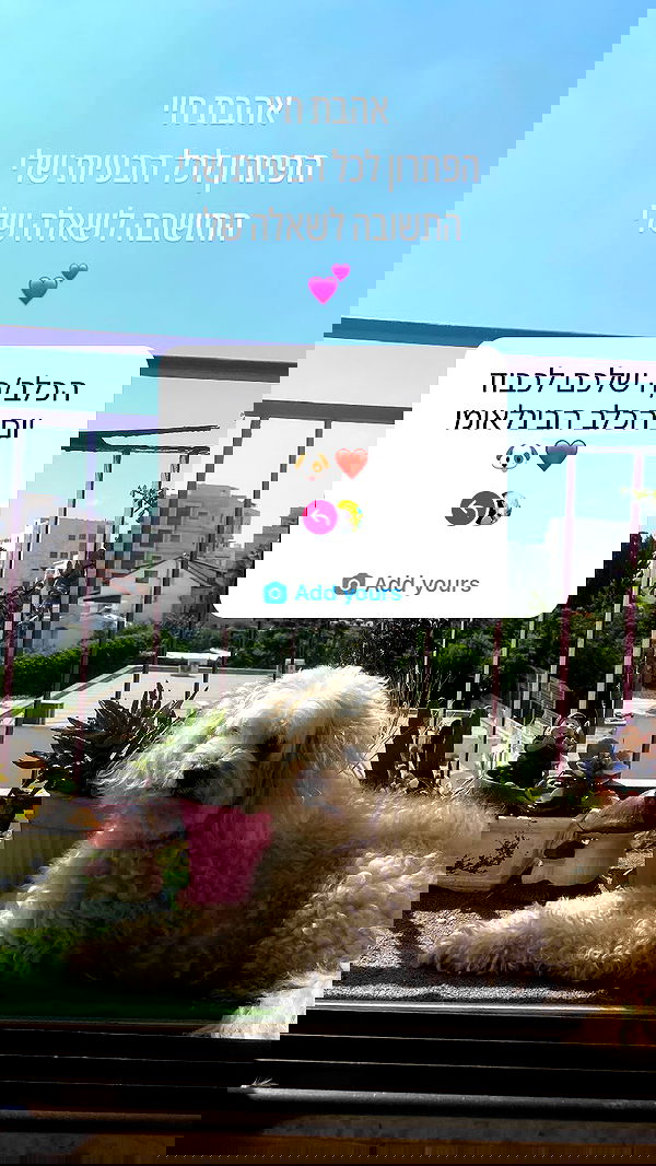 feelbetterinmysweater feelbetterinmysweater archive image