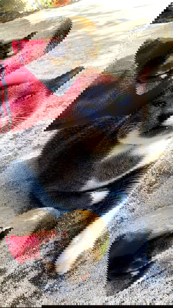 feelbetterinmysweater feelbetterinmysweater archive image