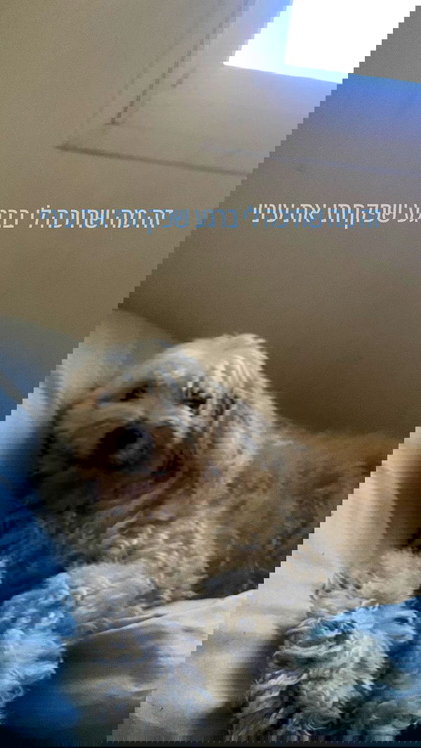 feelbetterinmysweater feelbetterinmysweater archive image