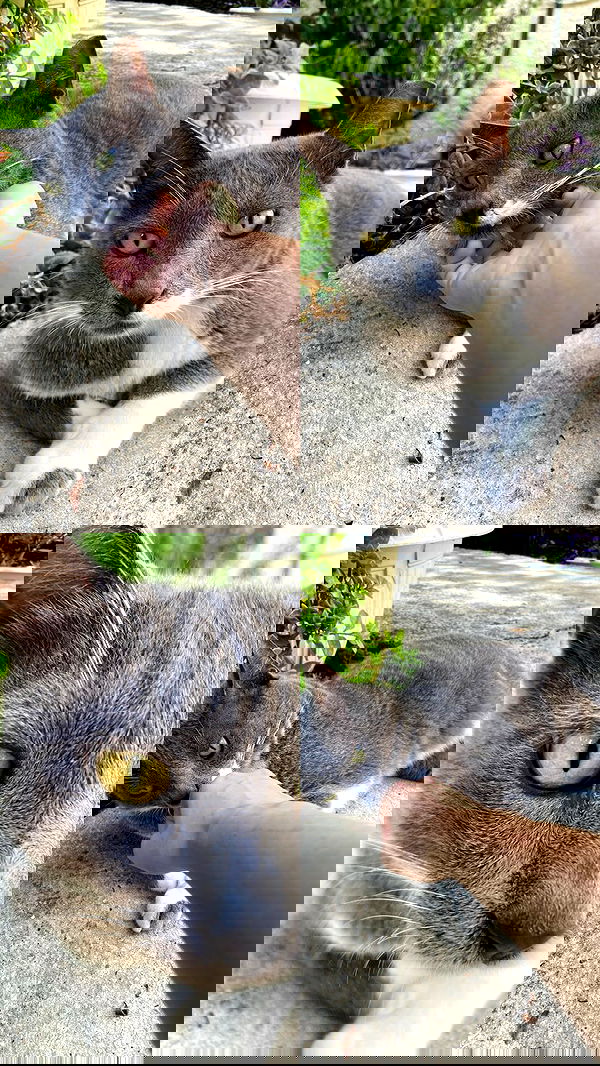 feelbetterinmysweater feelbetterinmysweater archive image