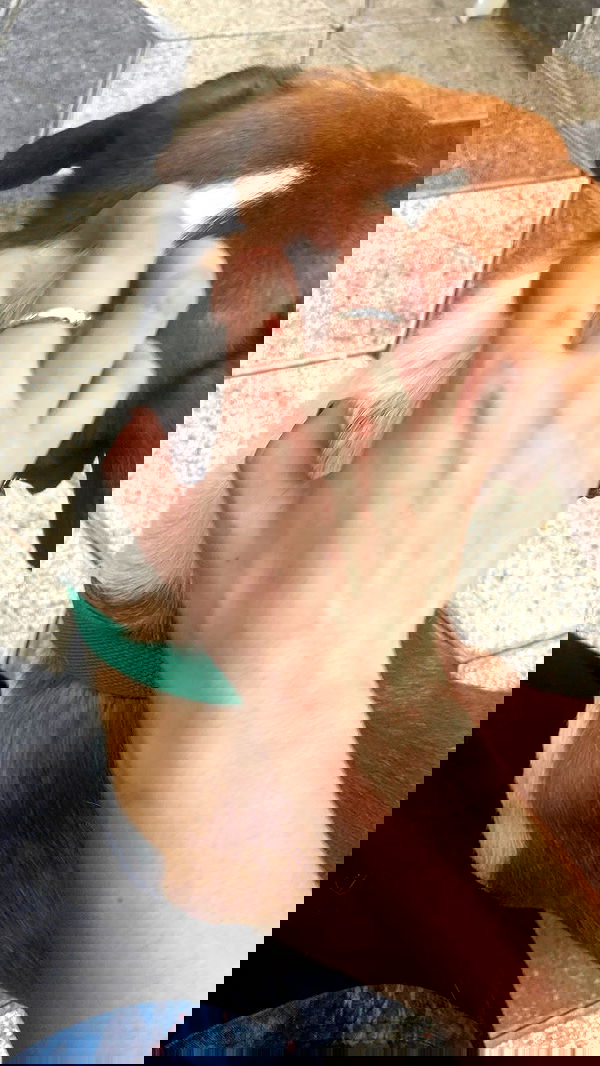 feelbetterinmysweater feelbetterinmysweater archive image