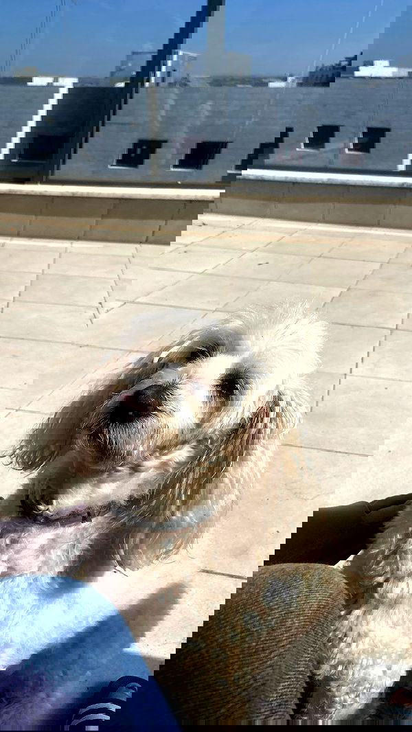 feelbetterinmysweater feelbetterinmysweater archive image