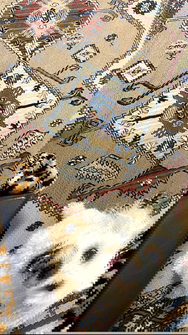 feelbetterinmysweater feelbetterinmysweater archive image