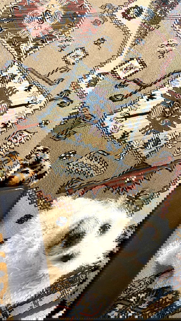 feelbetterinmysweater feelbetterinmysweater archive image