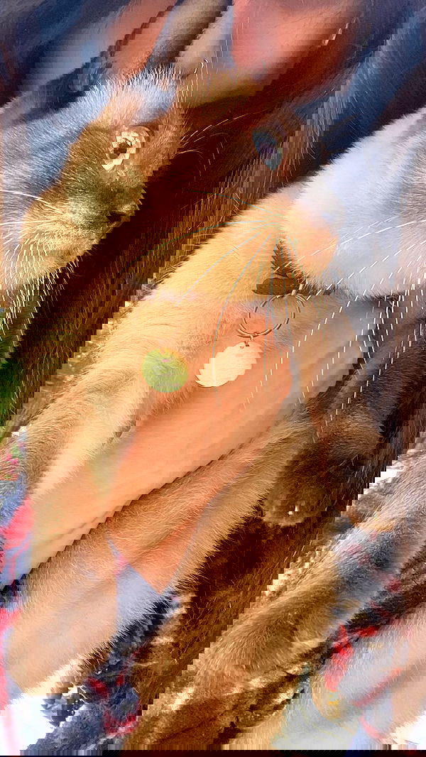 feelbetterinmysweater feelbetterinmysweater archive image