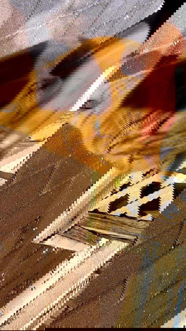 feelbetterinmysweater feelbetterinmysweater archive image