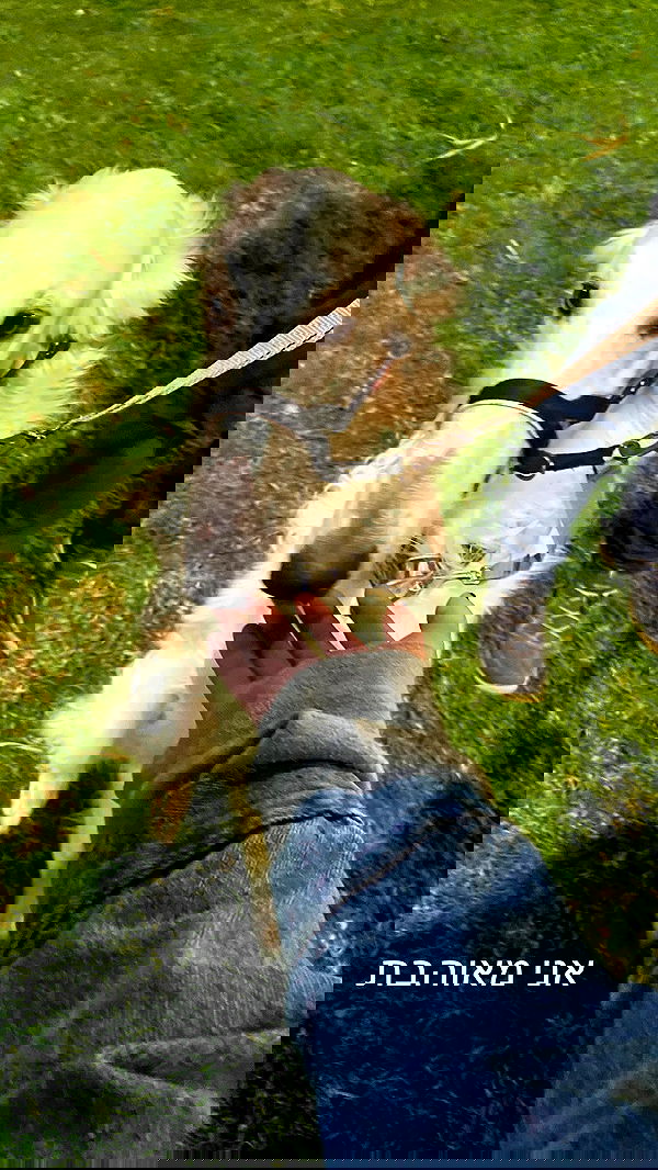 feelbetterinmysweater feelbetterinmysweater archive image