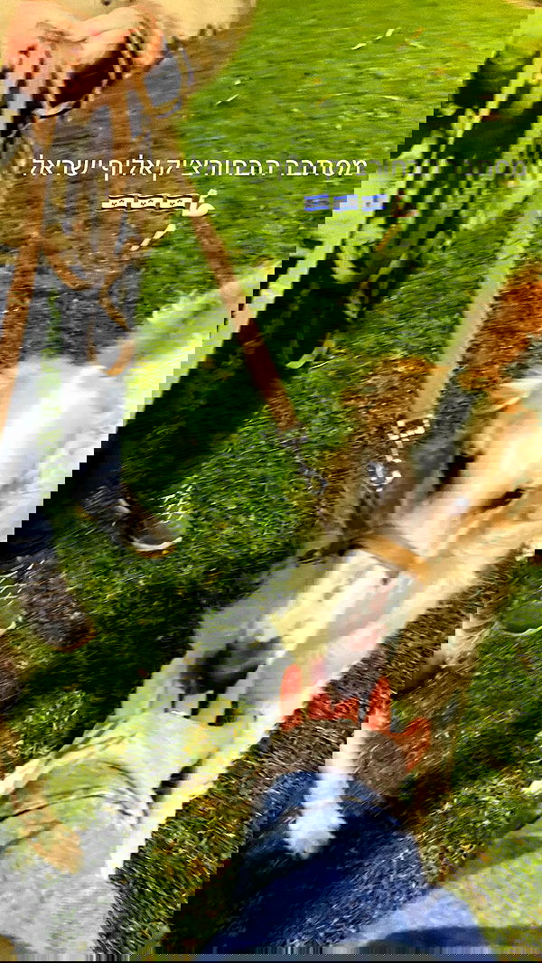 feelbetterinmysweater feelbetterinmysweater archive image