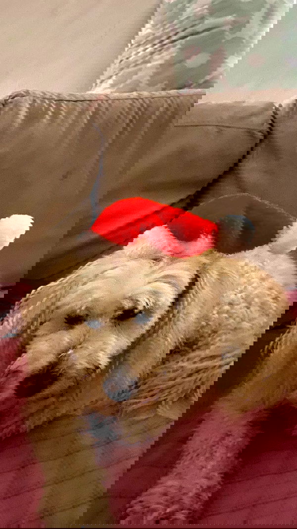 feelbetterinmysweater feelbetterinmysweater archive image