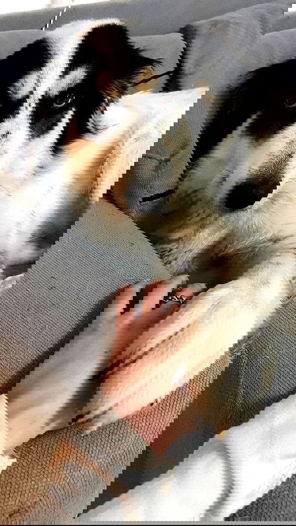 feelbetterinmysweater feelbetterinmysweater archive image