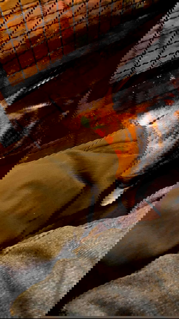 feelbetterinmysweater feelbetterinmysweater archive image