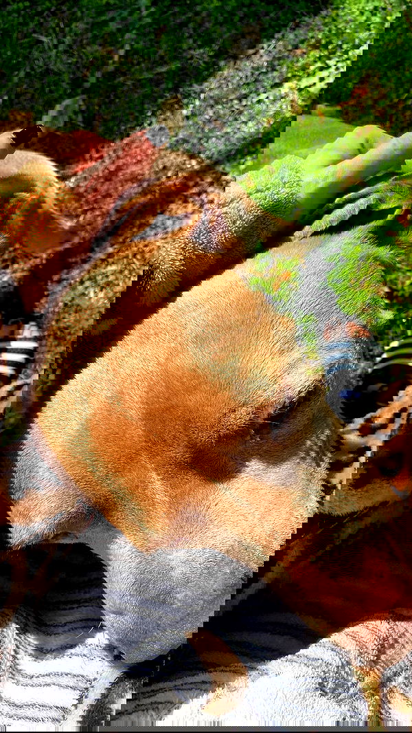 feelbetterinmysweater feelbetterinmysweater archive image