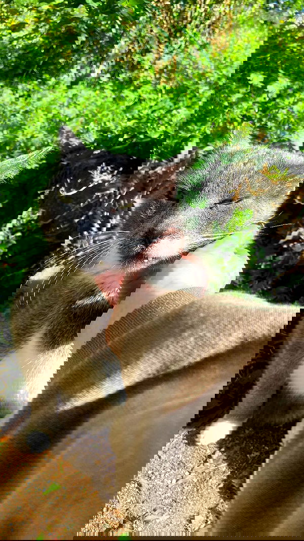 feelbetterinmysweater feelbetterinmysweater archive image