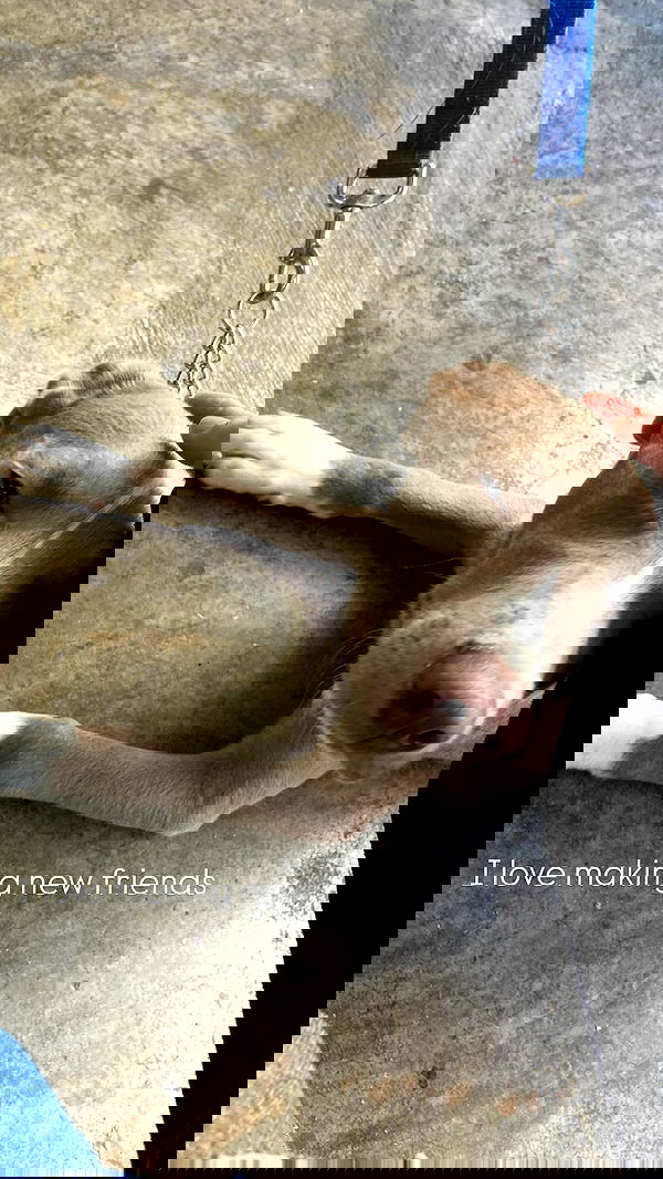 feelbetterinmysweater feelbetterinmysweater archive image