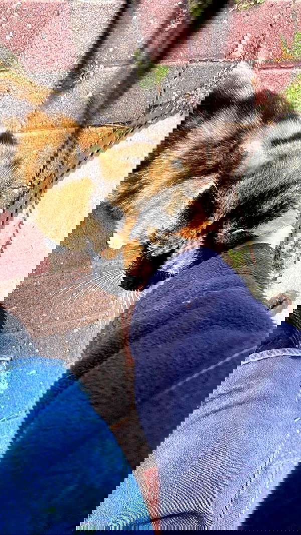 feelbetterinmysweater feelbetterinmysweater archive image