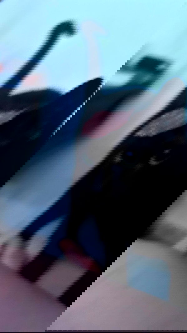 feelbetterinmysweater feelbetterinmysweater archive image