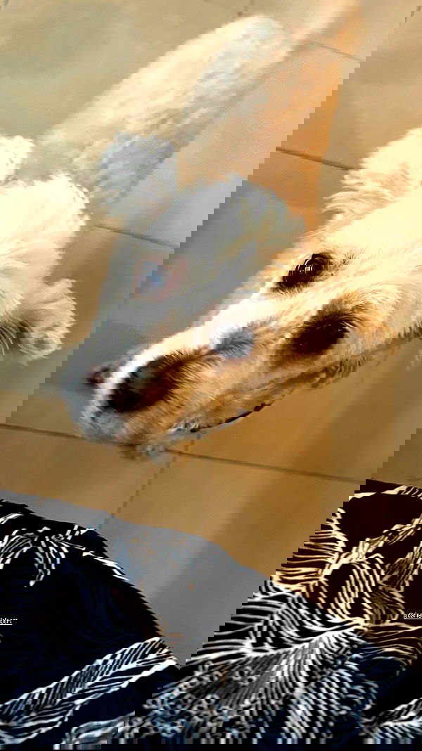 feelbetterinmysweater feelbetterinmysweater archive image