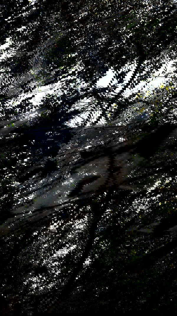 feelbetterinmysweater feelbetterinmysweater archive image