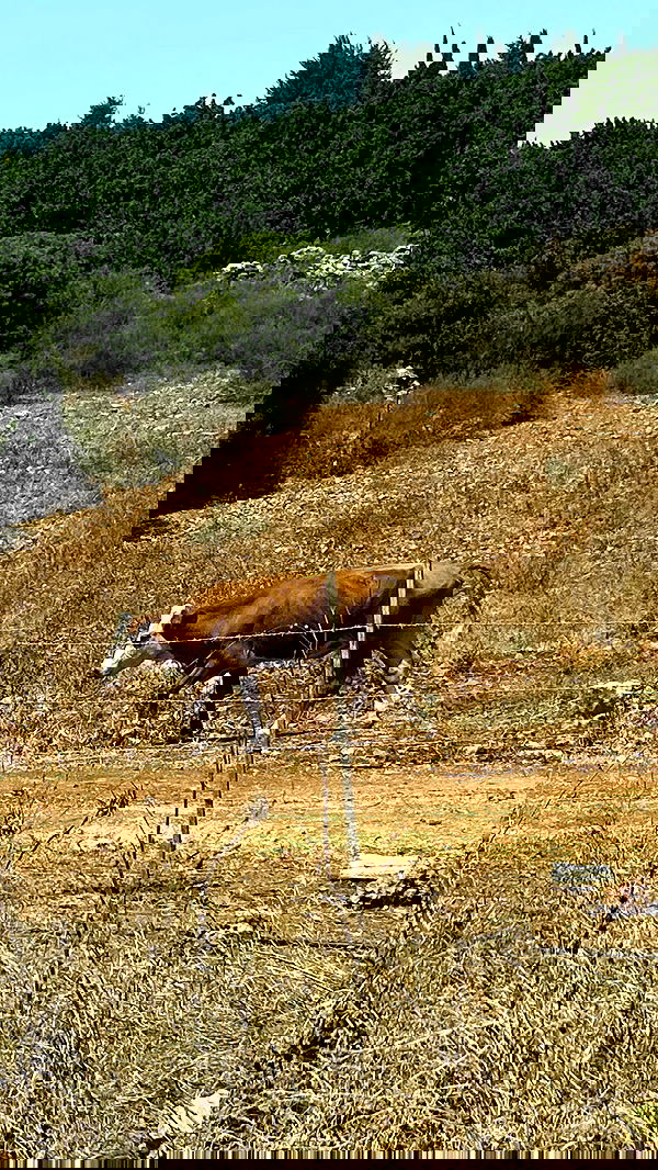 feelbetterinmysweater feelbetterinmysweater archive image