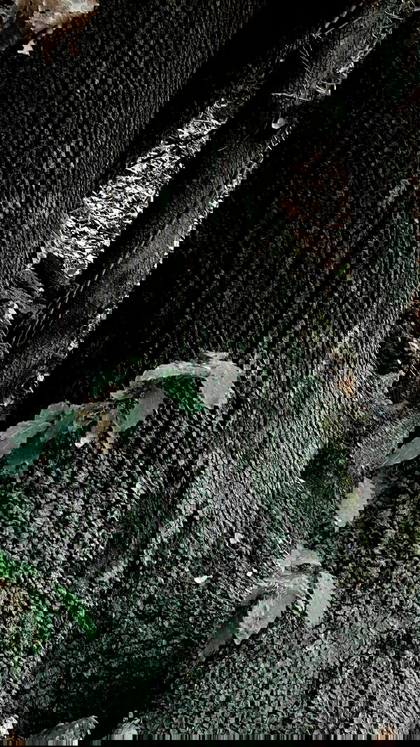 feelbetterinmysweater feelbetterinmysweater archive image