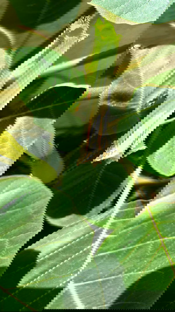 feelbetterinmysweater feelbetterinmysweater archive image