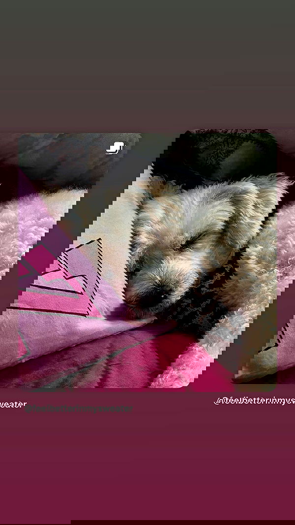 feelbetterinmysweater feelbetterinmysweater archive image